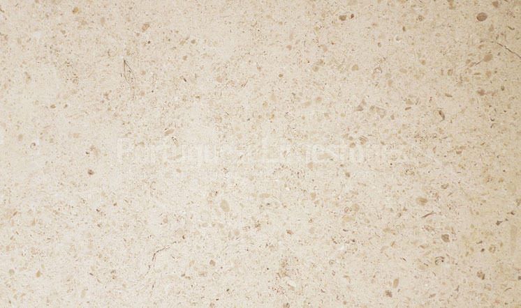 Moleanos Classic limestone